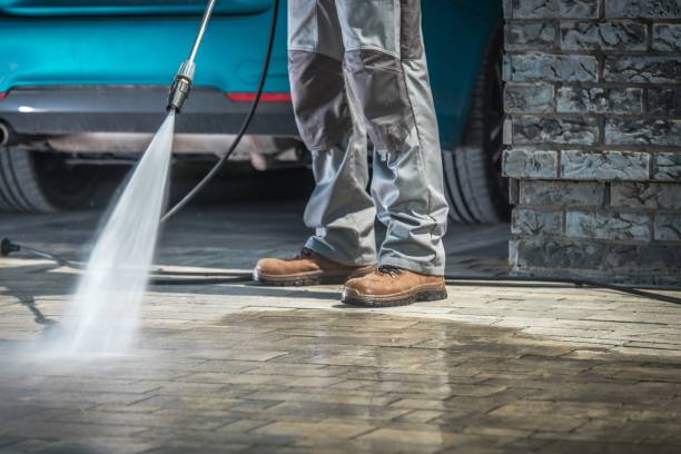 Best Paint Preparation  in Third Lake, IL