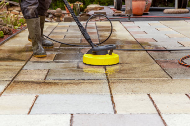 Best Driveway Pressure Washing  in Third Lake, IL